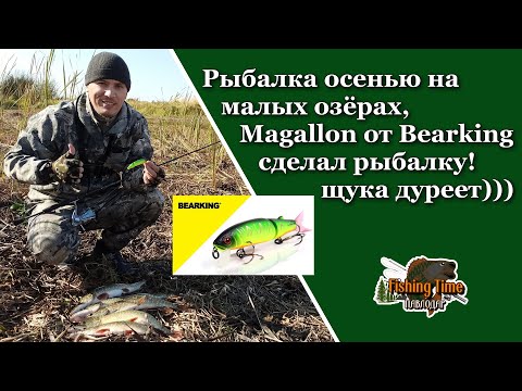 Видео: Рыбалка осенью на малых озерах, Magallon от Bearking сделал рыбалку! щука дуреет)))