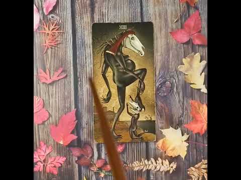 Видео: Для начинающих.Таро безумной луны. Старший аркан Гниение (Смерть)