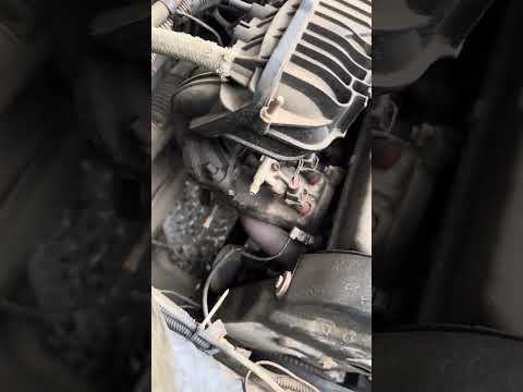 Видео: 3 марта 2025 г.