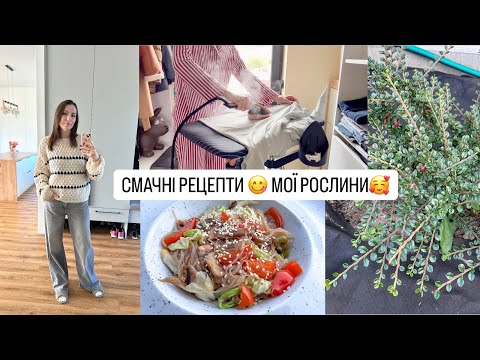 Видео: ДЕ ВІДСВЯТКУВАТИ ДЕНЬ НАРОДЖЕННЯ? 🤪 РЕЦЕПТИ - ФУНЧОЗА З ОВОЧАМИ 😋