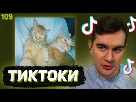 Видео: БРАТИШКИН СМОТРИТ - ТИКТОКИ #109