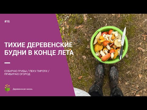 Видео: ТИХИЕ ДЕРЕВЕНСКИЕ БУДНИ / СОБИРАЮ ГРИБЫ / ЗАГОТОВКИ НА ЗИМУ / ПРИБИРАЮ ОГОРОД