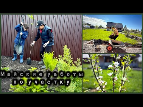 Видео: ВЛОГ недельный / Насыщенные рабочие майские выходные / Занимаемся участком / Сажаем новые растения 🍀