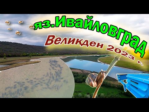 Видео: Шарани и каракуди на яз.Ивайловград.4К(Субтитри)