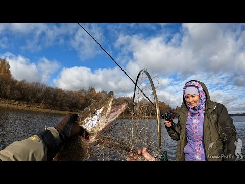 Видео: Осенние трофеи на троллинг. Закрытие сезона. Pike to trolling