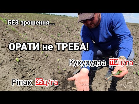 Видео: Плуг не треба! Cоняшник 45ц без зрошення. Сівалка Kuhn Maxima 3 круче Vaderstad? Ріпак по стерні