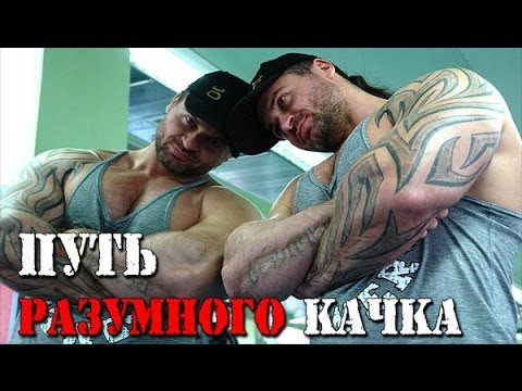 Видео: ПУТЬ РАЗУМНОГО КАЧКА