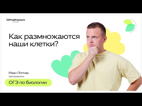 Видео: Как размножаются наши клетки | ОГЭ 2025 по Биологии