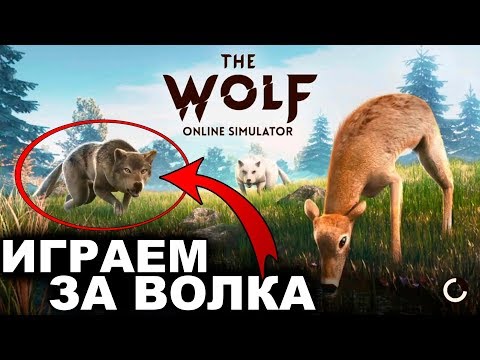 Видео: СИМУЛЯТОР ВОЛКА - The Wolf
