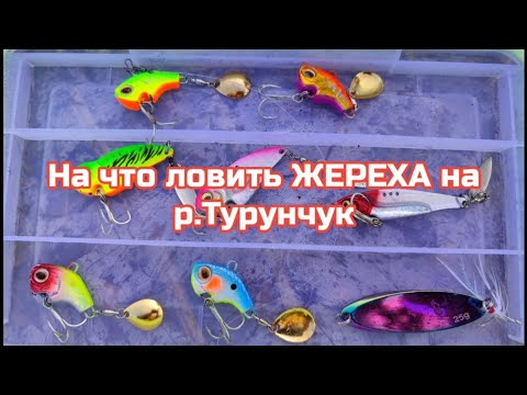 Видео: На что ловить ЖЕРЕХА на р.Турунчук.