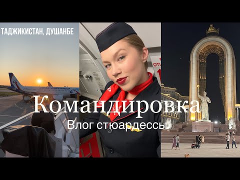 Видео: Влог стюардессы | Командировка | ПРОСПАЛА НА РЕЙС | Таджикистан, Душанбе