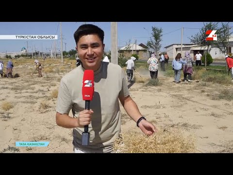 Видео: Түркістанда пайдалы қазбаны заңсыз алып жатқандар экологиялық мәселелер тудыруда | Таза Қазақстан