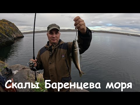 Видео: ОСЕННЯЯ РЫБАЛКА СО СКАЛ БАРЕНЦЕВА МОРЯ / AUTUMN FISHING FROM THE ROCKS OF THE BARENTS SEA