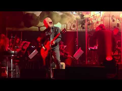 Видео: Северный Флот - Священник Больше Ничего Не Скажет (Live Новосибирск 18.10.2025)