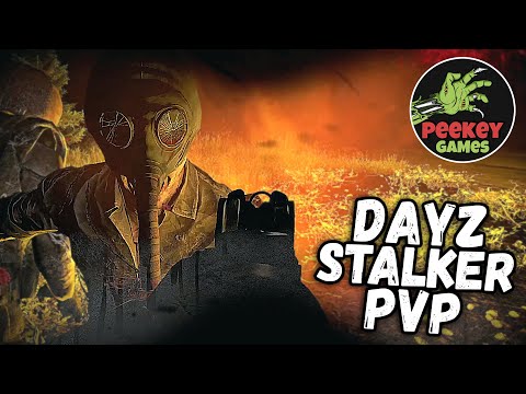 Видео: DayZ Stalker PVP "Безумие" (STALKERZ SURVIVAL EU)