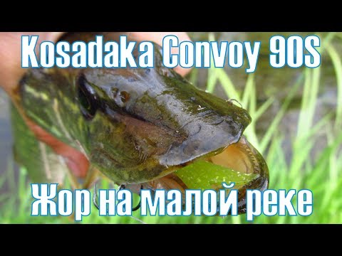 Видео: Kosadaka Convoy 90S. Жор на малой реке