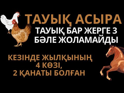 Видео: ТАУЫҚ АСЫРА|ЖЫЛҚЫ-АДАМ ДОСЫ|МАЛДЫ ТЕППЕ #салтдәстүр #ырым