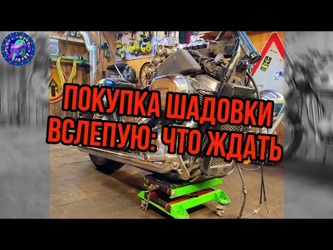 Видео: HONDA SHADOW ТЕХНИЧЕСКИЙ ОСМОТР ПОСЛЕ ПОКУПКИ
