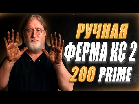 Видео: СКОЛЬКО Я ЗАРАБОТАЛ ЗА 50 НЕДЕЛЬ ФАРМА. ФЕРМА КС 2 НА 200 ПРАЙМОВ.