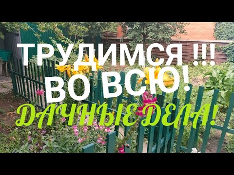 Видео: ДАЧНЫЕ ДЕЛА ! РАБОТАЕМ ВО ВСЮ ! ОСЕНЬ 🍁🍂