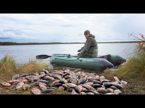 Видео: Рыбалка на торфяном, диком озере, среди Васюганских болот..