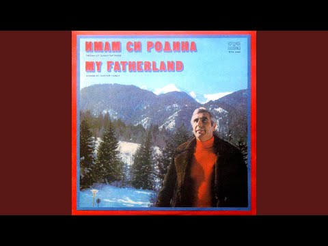 Видео: Смели граничари