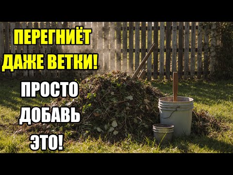 Видео: Как быстро сделать компост осенью — простой способ, чтобы за зиму перегнило даже ветки!
