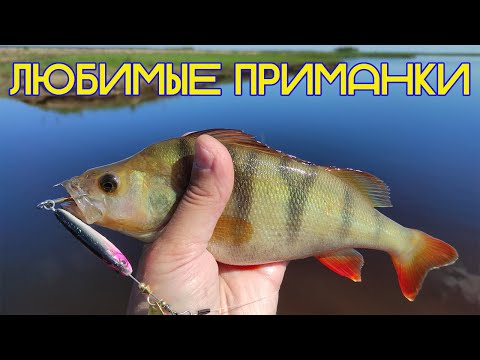 Видео: ЛЮБИМЫЕ ПРИМАНКИ окуня и щуки.