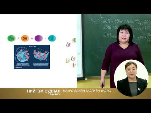 Видео: 2020/02/12 "НИЙГЭМ СУДЛАЛ" Хичээлийн сэдэв:  Макро эдийн засгийн үндэс Багш: Н.ЭРДЭНЭБИЛЭГ