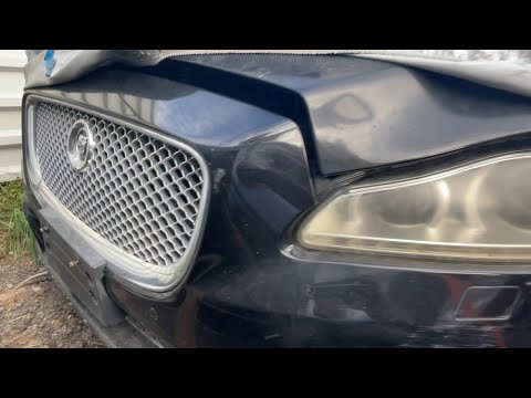 Видео: Ягуар, донор на торгах! Надо брать 