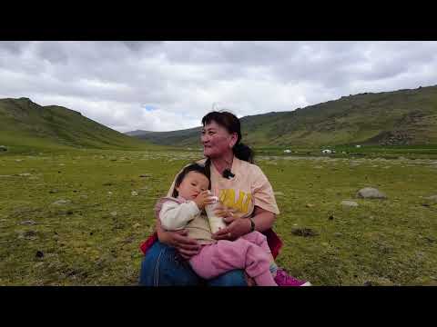 Видео: "Буурлуудынхаа нутгаар" Ховд аймаг Эрдэнэбүрэн сум Баянгол баг