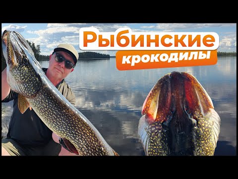 Видео: 16 сентября 2025 г.