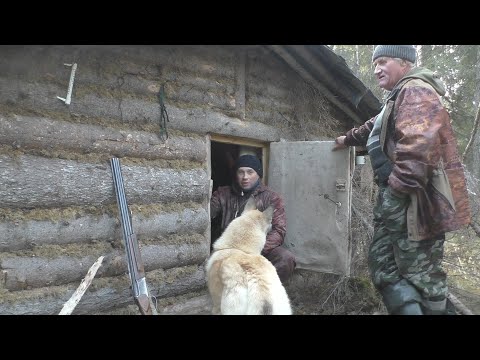 Видео: С ночёвкой в избу. Охота на рябчика.