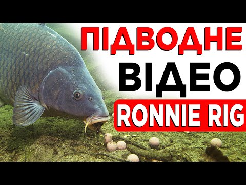 Видео: Чому всі ловлять на Ронні Ріг — РЕЗУЛЬТАТ ТЕБЕ ЗДИВУЄ