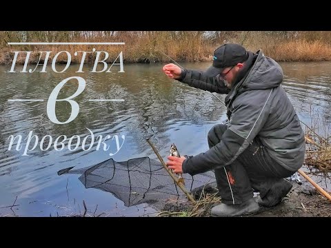 Видео: Ловля крупной ПЛОТВЫ на поплавок! Поклевки крупным планом!