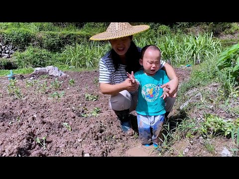 Видео: Выращивать овощи, Йике играл с грязью и некоторое время плакал