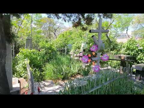 Видео: Ташкент . Боткина 23 и 12 карты