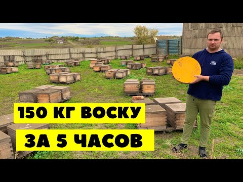 Видео: Самый быстрый способ перетопки воску в домашних