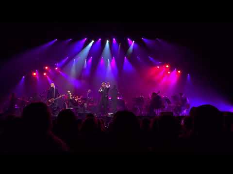 Видео: Би-2 — Философский камень (Амстердам, 2025)