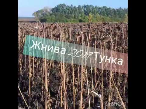 Видео: Жнива 2019р Тунка .