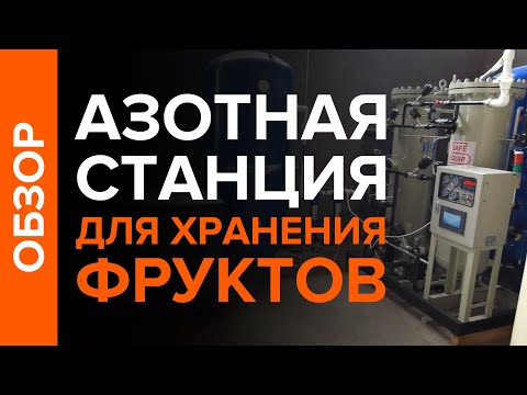 Видео: Азотка для хранения фруктов