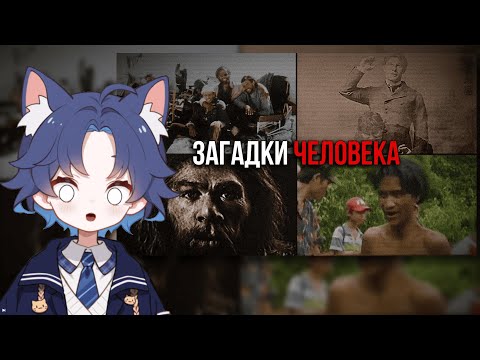 Видео: ДОФИС СМОТРИТ: ТРЕВОЖНЫЕ ФАКТЫ О ЧЕЛОВЕКЕ