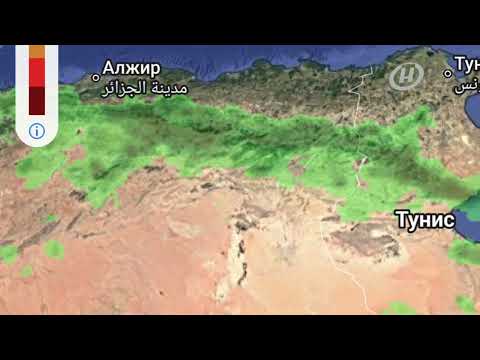 Видео: ОНТ анонс