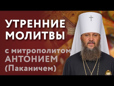 Видео: УТРЕННЕЕ МОЛИТВЕННОЕ ПРАВИЛО | Утренние молитвы с митрополитом Антонием (Паканичем)