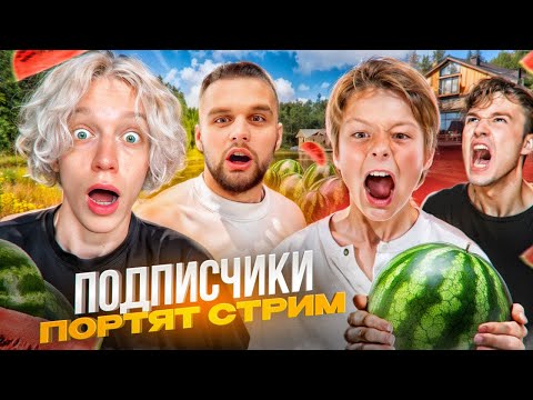 Видео: ГЛУПЫЕ ПОДПИСЧИКИ ПОРТЯТ СТРИМ ХАЗЯЕВАМ! СТРОИТЕЛЬСТВО ПЛОТА ИЗ АРБУЗОВ | ПАРАДЕЕВИЧ, ДАНИЛА ГОРИЛЛА