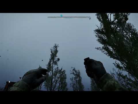 Видео: как летать на аномалии в сталкер 2