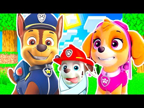Видео: РОДИЛСЯ РЕБЁНОК У СЕМЬИ ЩЕНЯЧИЙ ПАТРУЛЬ в МАЙНКРАФТ PAW PATROL МУЛЬТИК МАРШАЛ ГОНЩИК СКАЙ
