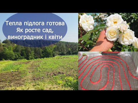 Видео: Купили хату в селі: оновлення в будинку, як росте сад, виноградник і квіти, село навесні