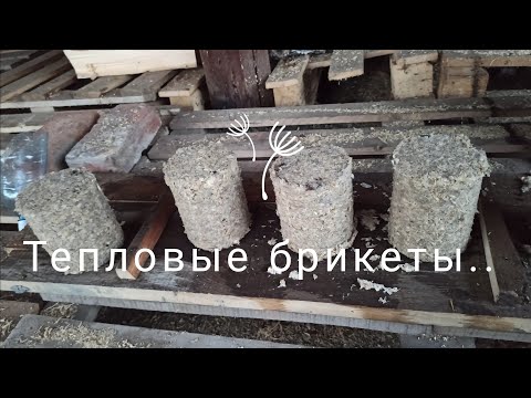 Видео: Идея для бизнеса в деревне: производство топливных брикетов...#бизнес#идея#село#топливо