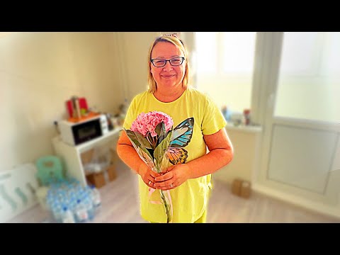 Видео: Муж вернулся! Не виделись несколько недель! Много собак и щенков!